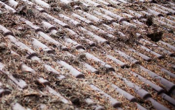 Maggieknockater roof cleaning companies